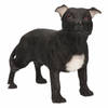 Staff Bull Terrier decoratie beeldje 15 cm - Beeldjes