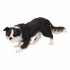 Honden beeldje Border Collie 17 cm - Beeldjes