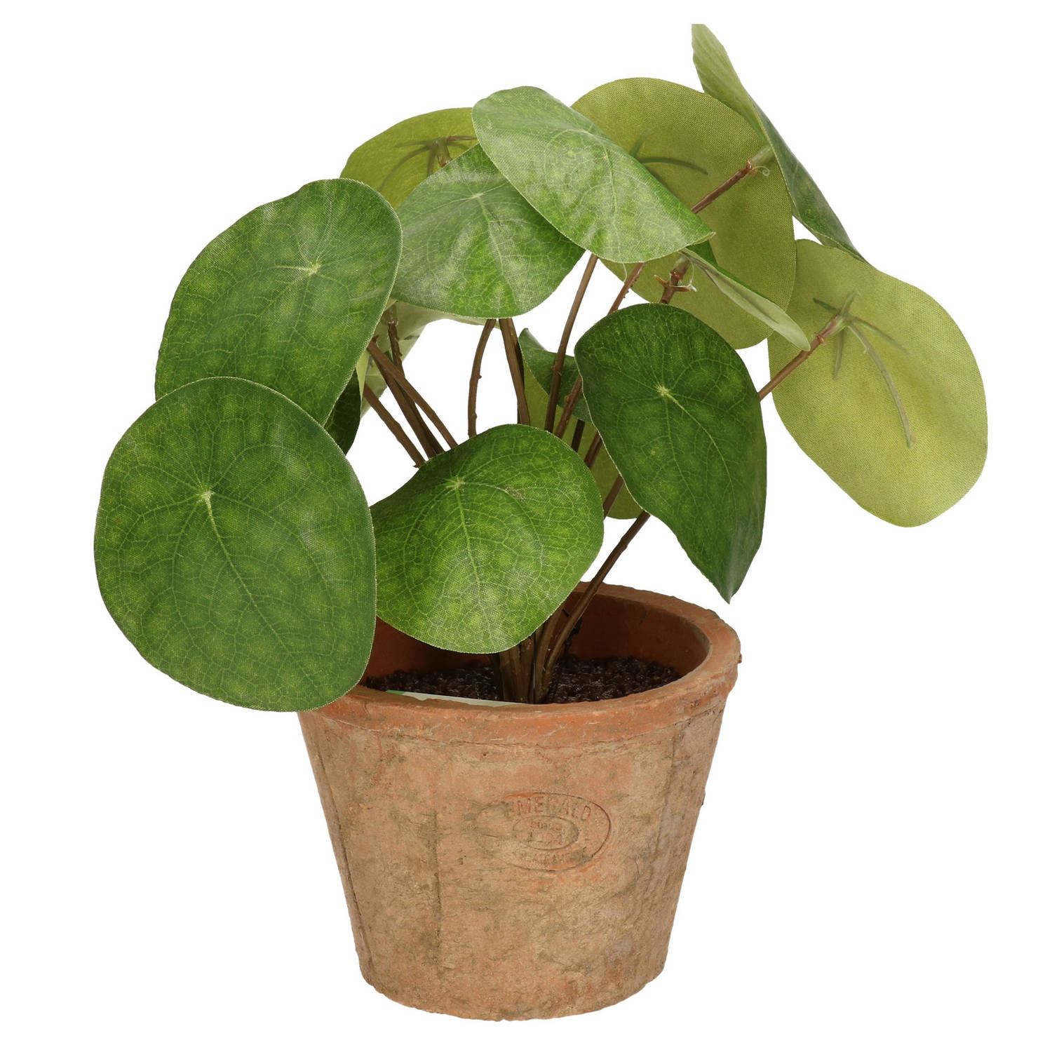dinsdag deze brand Kunstplant pilea Pannekoekplant groen in pot 25 cm - Kunstplanten | Blokker