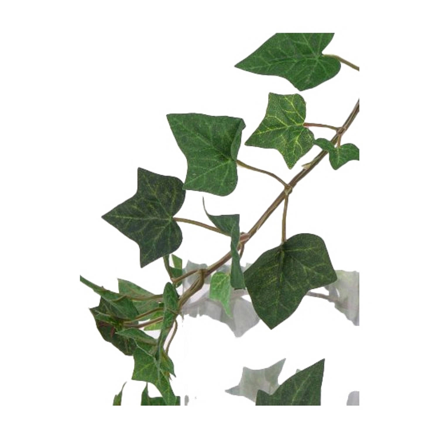 Sanders Prelude onderwijzen Groene Hedera Helix/klimop kunstplant 180 cm voor binnen - Kunstplanten |  Blokker