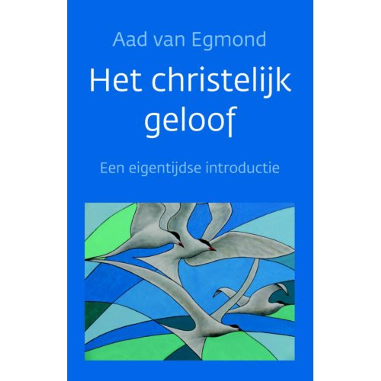 Het Christelijk Geloof - (ISBN:9789029728140)