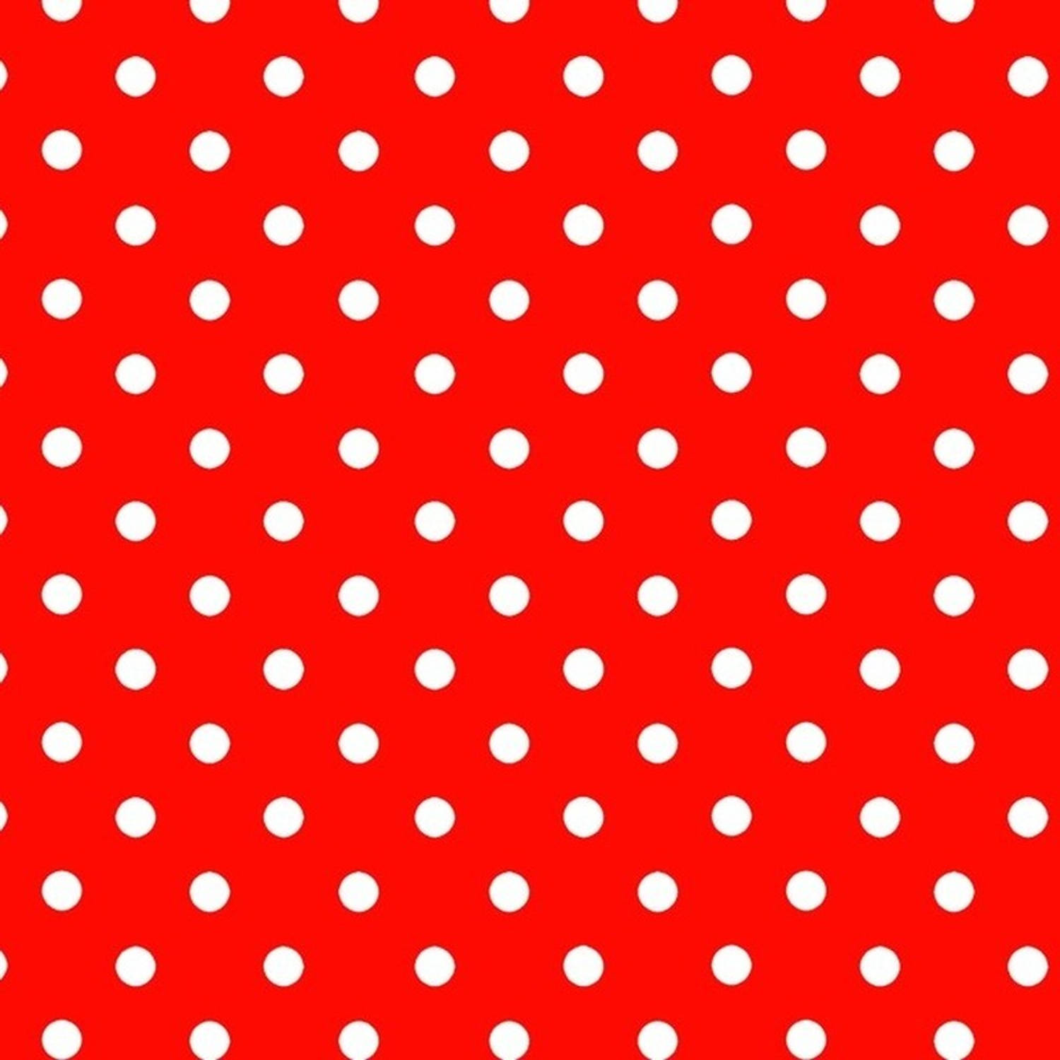 exegese Rijpen Actie Inpakpapier/cadeaupapier rood met stip 200 x 70 cm op rol - Cadeaupapier |  Blokker