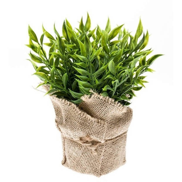 Groene kunstplant muizendoorn kruiden plant in pot - Kunstplanten