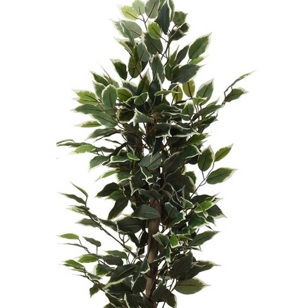 Kunstplant Ficus groen met witte bladeren 95 cm - Kunstplanten