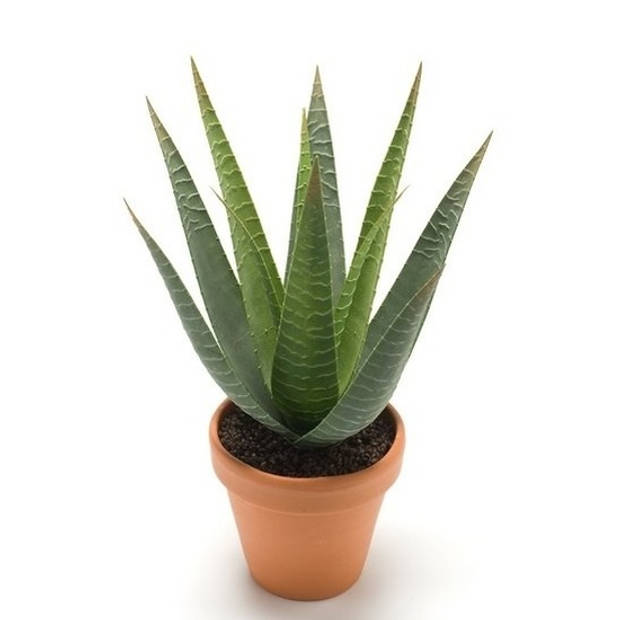 Kunstplant Aloe Vera - 2x - groen - in terracotta pot - 23 cm - Kunstplanten