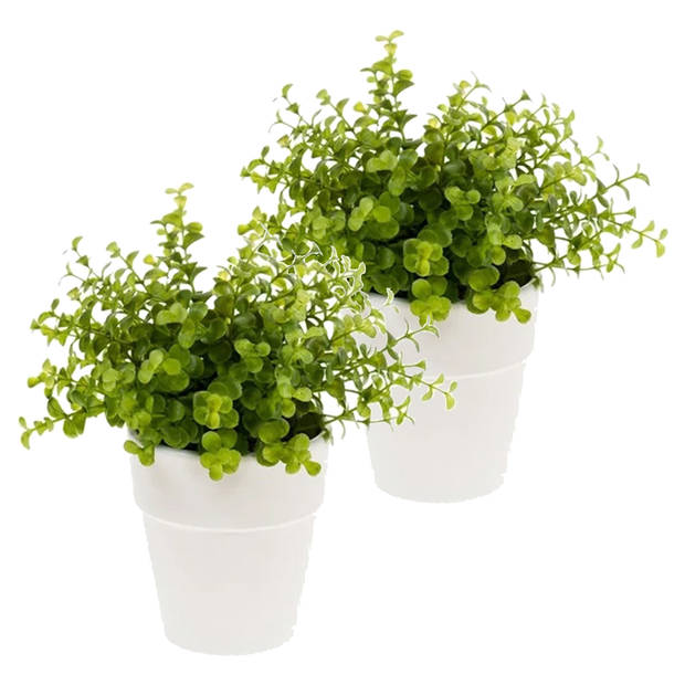Emerald Kunstplant eucalyptus - groen - in witte pot - 22 cm - Kunstplanten
