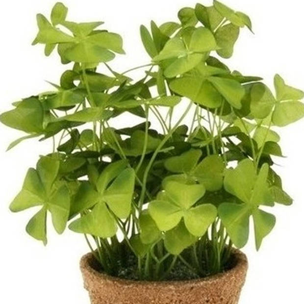 Groene kunstplant klaverzuring plant in pot 25 cm - Kunstplanten