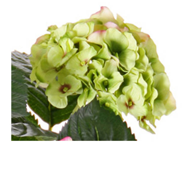 Kunst hortensia groen/roze 36 cm - Kunstplanten