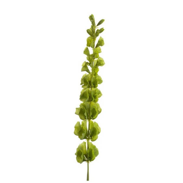 Groene Molucella kunstplant takken 80 cm - Kunstbloemen