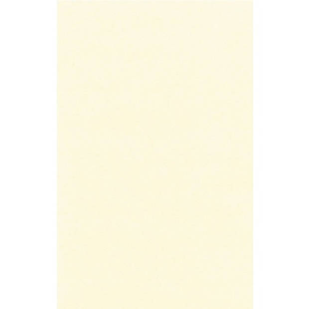 Cremewitte afneembare tafelkleden/tafellakens 138 x 220 cm papier/kunststof - Feesttafelkleden