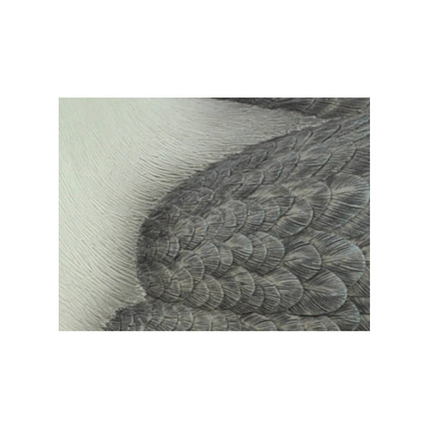 Tuindecoratie beeld meeuw 40 cm - Beeldjes