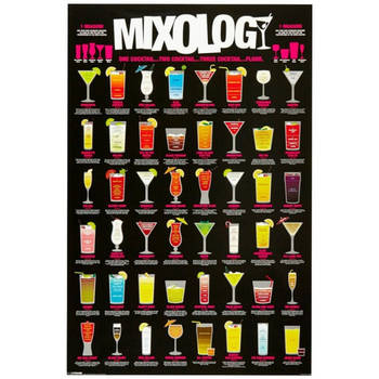 Cocktails maken drankjes muur decoratie poster 61 x 91,5 cm - Posters