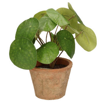 Emerald Kunstplant pilea/pannekoekplant - groen - in pot - 25 cm - Kunstplanten