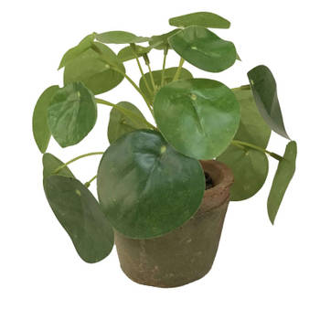 Groene kunstplant pilea plant in pot 13 cm - Kunstplanten