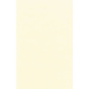Cremewitte afneembare tafelkleden/tafellakens 138 x 220 cm papier/kunststof - Feesttafelkleden