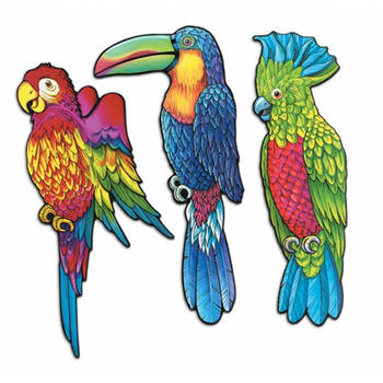 Wanddecoratie tropische vogels 3 stuks 43 cm - Feestdecoratieborden