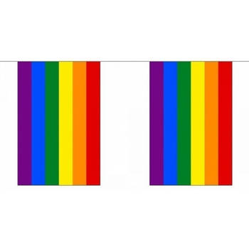 3x Polyester vlaggenlijn regenboog 3 meter - Vlaggenlijnen