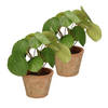 Kunstplant pilea/pannekoekplant - 2x - groen - in pot - 25 cm - Kunstplanten