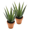 Kunstplant Aloe Vera - 2x - groen - in terracotta pot - 23 cm - Kunstplanten