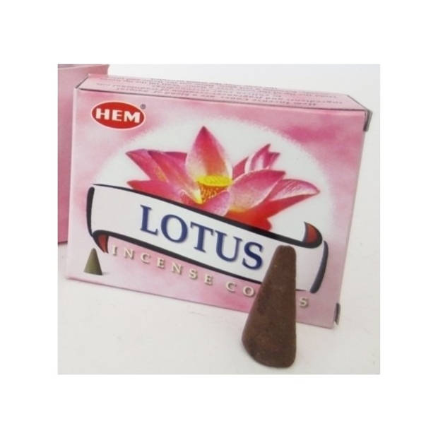 20 kegeltjes Lotus wierook - Wierookstokjes