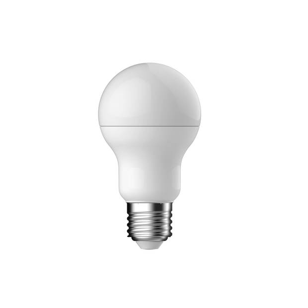 Led Bulb A60 60we27 Frosted