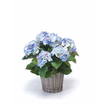 Blauwe Hortensia plant in mand 45 cm - Kunstplanten