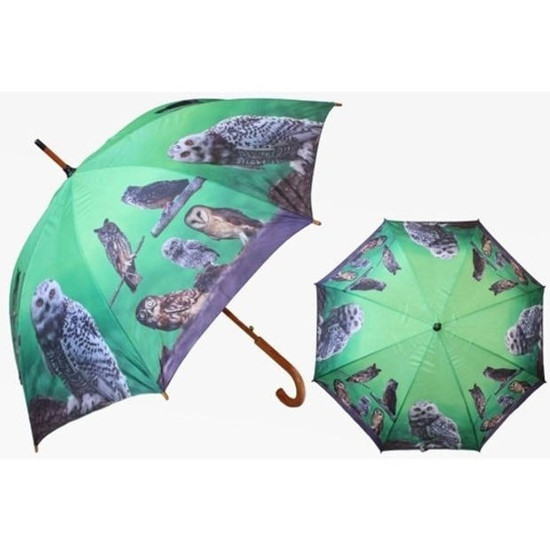 Groene paraplu met uiltjes 101 cm - Paraplu's