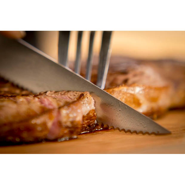 Tefal Ice Force steakmessen - 11 cm - set van 4