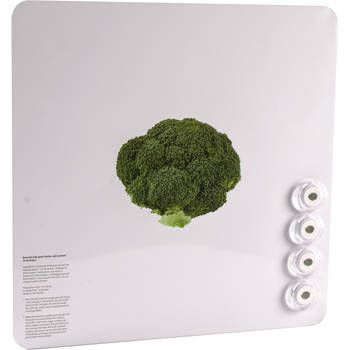 Magneetbord Dresz - broccoli - Ophangmagneet Dresz