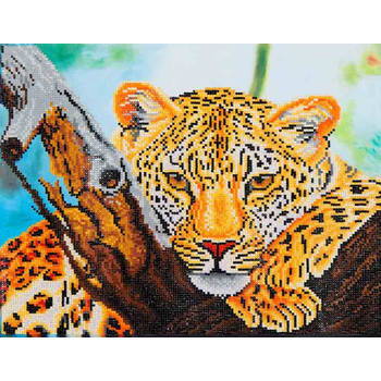 Leopard Look Diamond Dotz - 46x36 cm - Diamond Painting