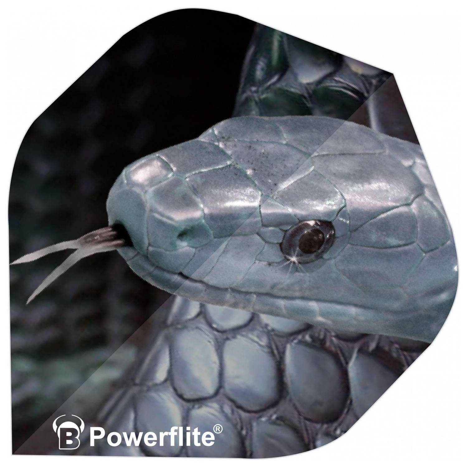 Bull´s Powerflight Snake 100 Micron