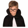 Carnaval verkleed bril - ronde glazen - Harry/Nerdy of Wally Look - Verkleedbrillen