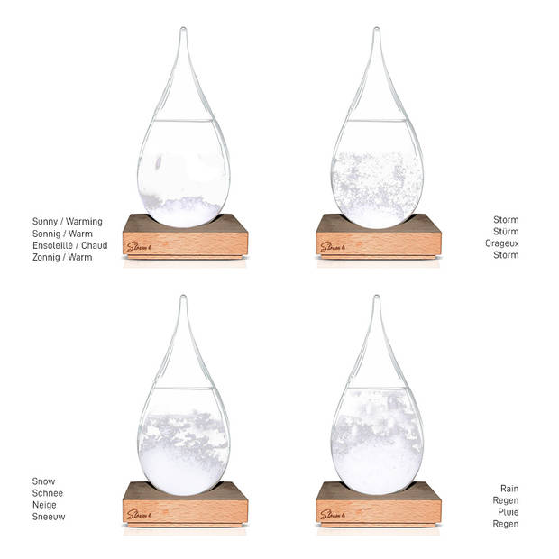 Storm Globe - Weervoorspeller - Wereldbol - ?20cm - Stijlvol Design - Stormglas - Groen/Zwart