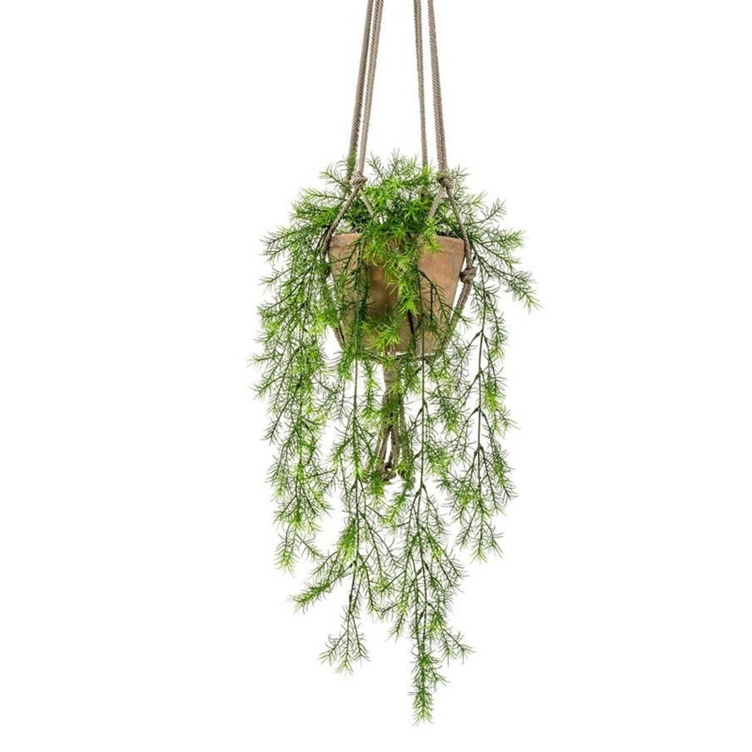 Wants&Needs Kunstplant Hangend Asparagus Sprengeri 75cm