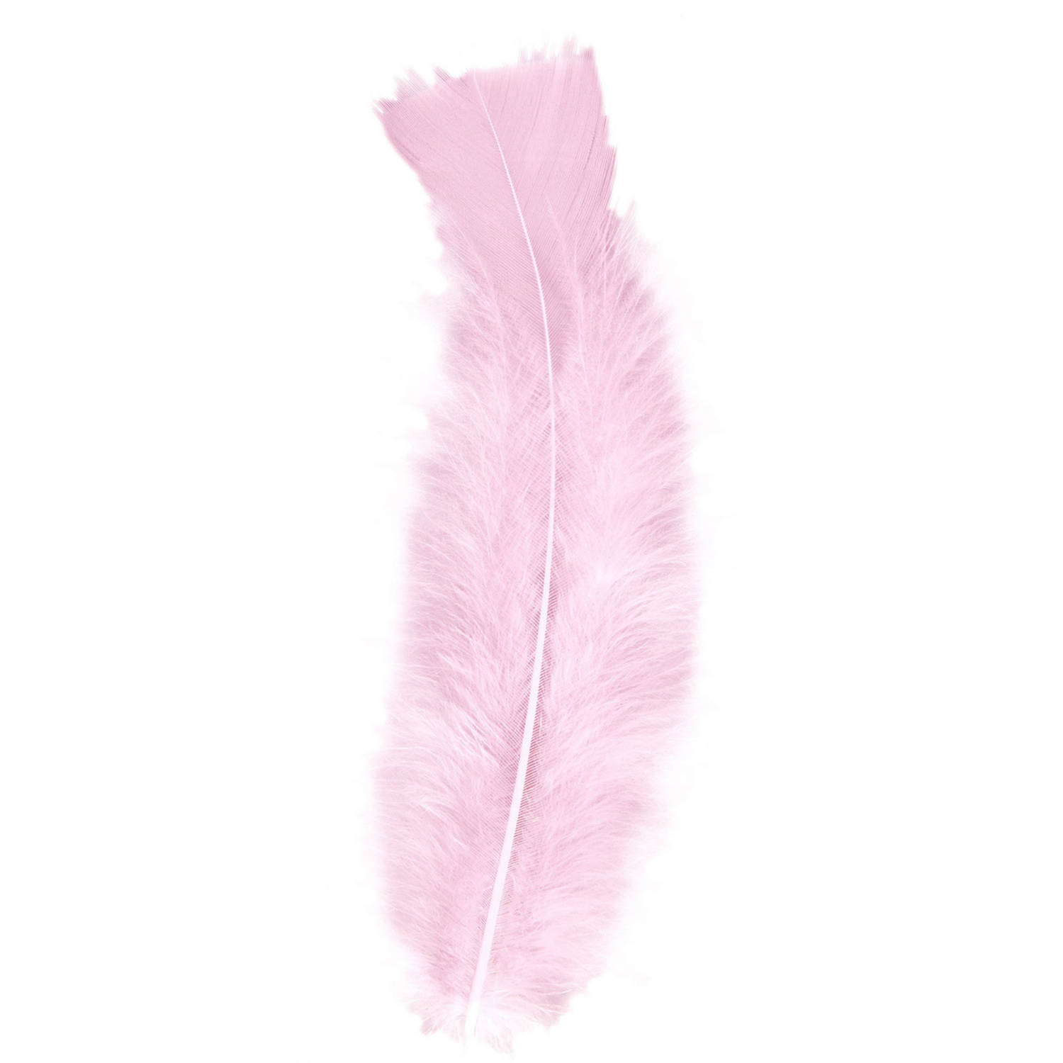 Snor Afhankelijk Identificeren 50x Licht roze veren/sierveertjes decoratie/hobbymateriaal 17 cm -  Verkleedveren | Blokker