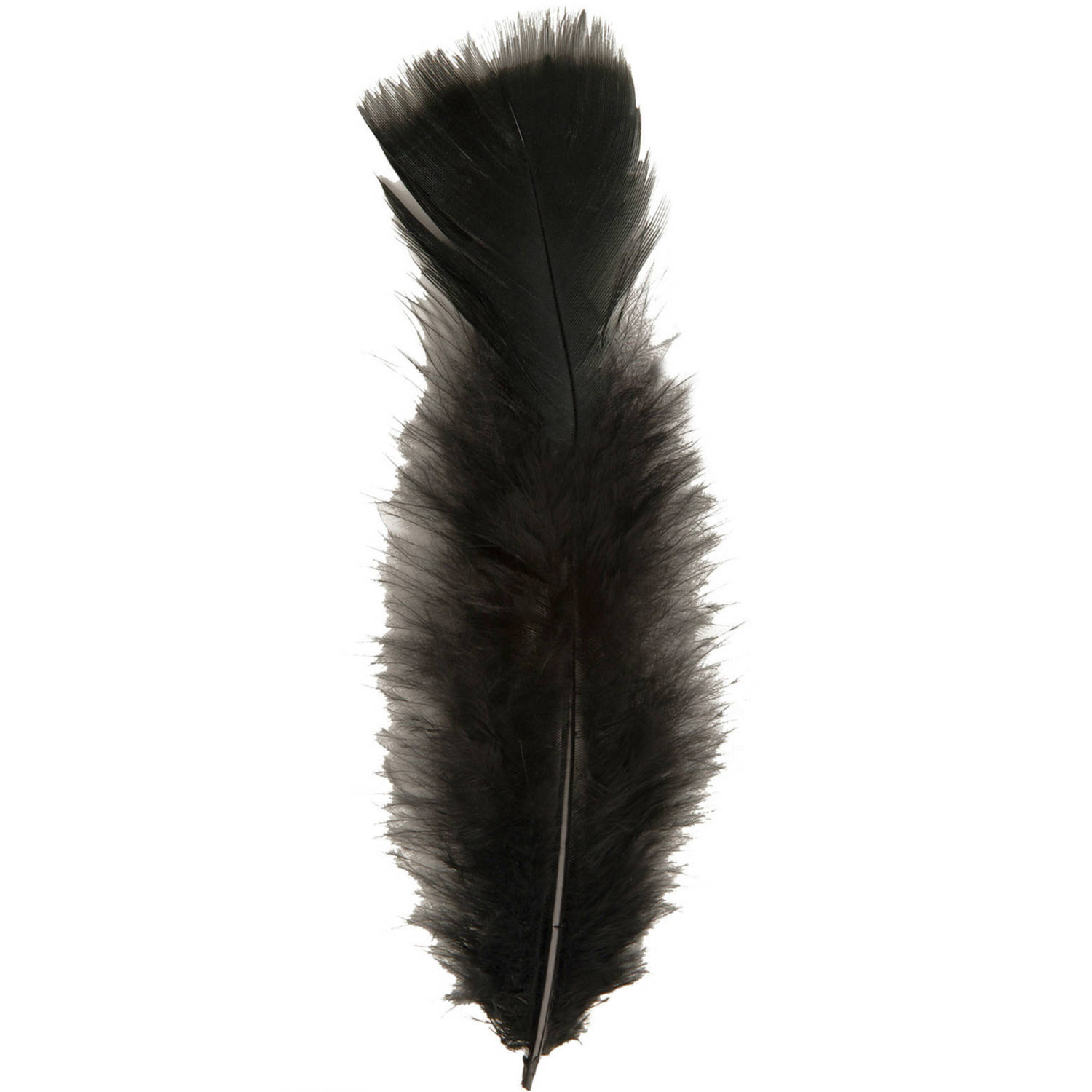 evenwichtig ophouden Bedoel 50x Zwarte veren/sierveertjes decoratie/hobbymateriaal 17 cm -  Verkleedveren | Blokker