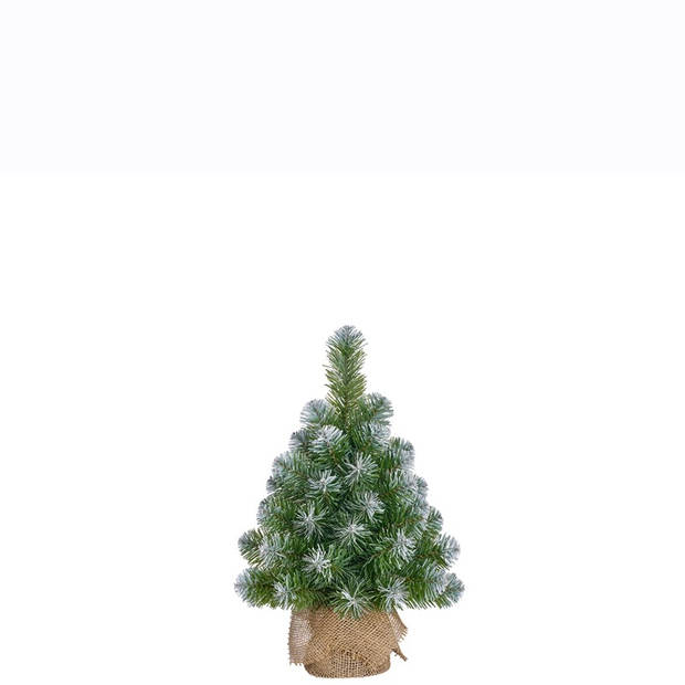 Kerstboom groen frosted 60x23cm Kerstartikelen