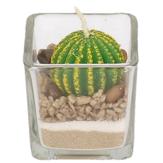 Bolcactus plant kaarsje - Kaarsen