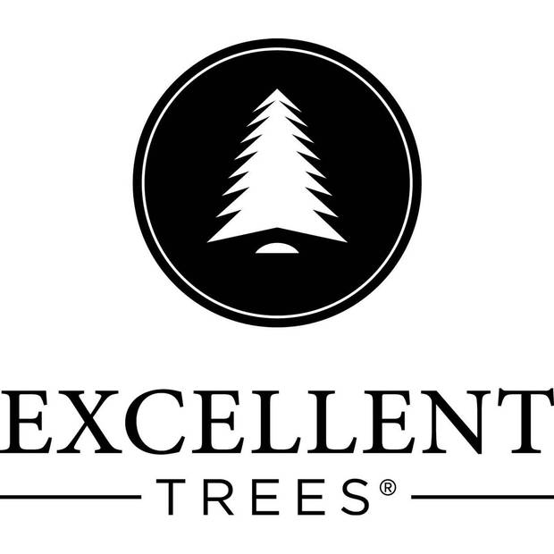 Kerstboom Excellent Trees® Stavanger Silver 150 cm - Luxe uitvoering