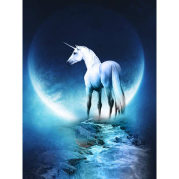 Diamond Painting Pakket Unicorn with the Moon - Volledig - Full - 25x30 cm - SEOS Shop ®