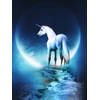 Diamond Painting Pakket Unicorn with the Moon - Volledig - Full - 25x30 cm - SEOS Shop ®