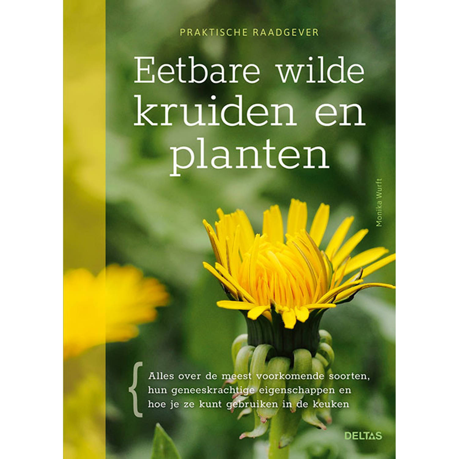 Deltas Gezondheidsboek: Eetbare Wilde Kruiden En Planten