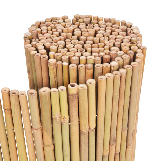 The Living Store Bamboe Tuinhek - 300 x 100 cm - Naturel