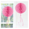 Honeycomb ballen baby roze 30 cm - Hangdecoratie