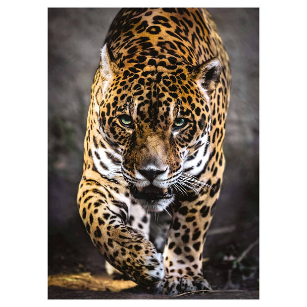 Clementoni legpuzzel Walk of the Jaguar 1000 stukjes