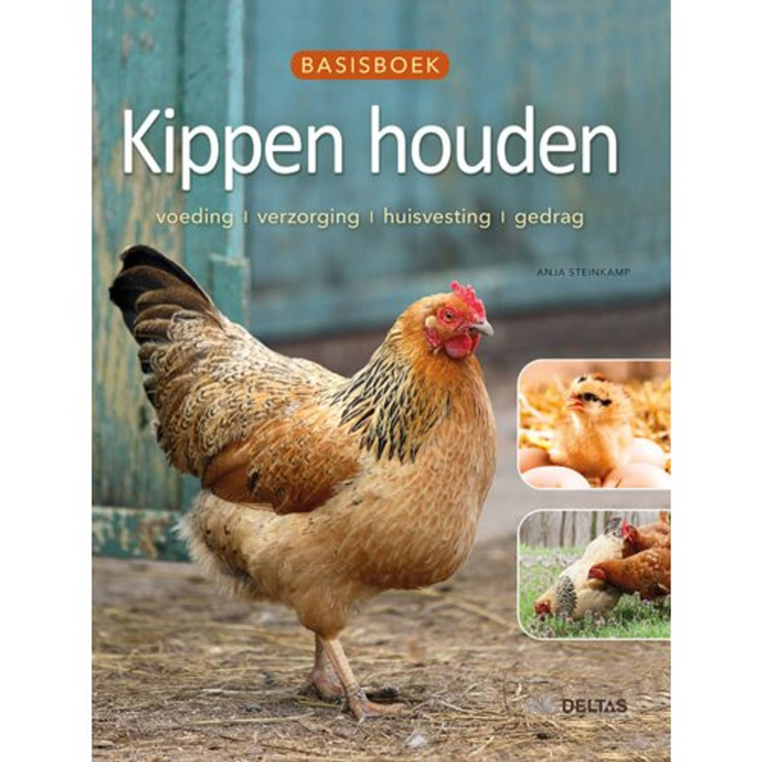 Basisboek Kippen houden. voeding verzorging huisvesting gedrag, Steinkamp, Anja J., Paperback