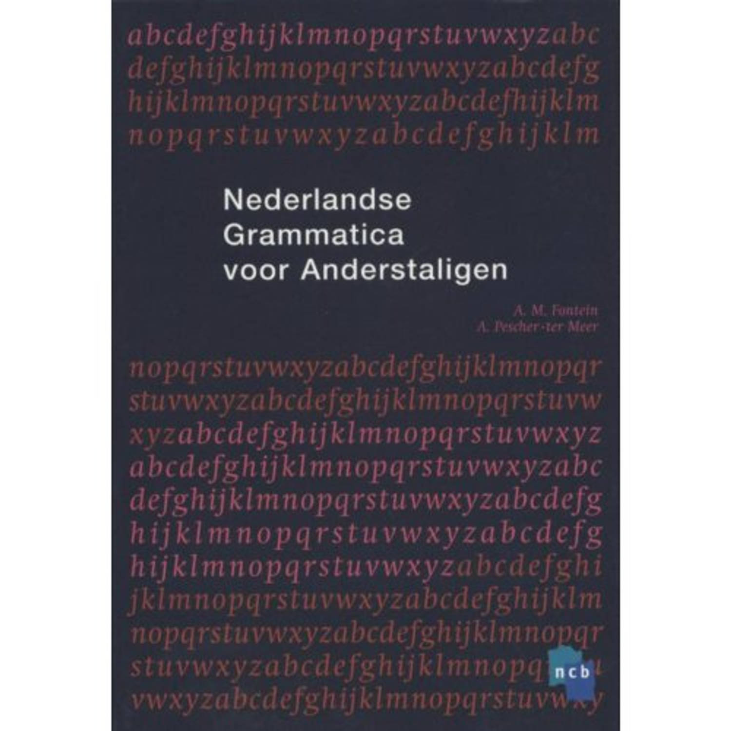 Nederlandse Grammatica Voor Anderstaligen