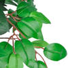 The Living Store Kunst Vijgenboom - naam - Plant - 110 cm hoog - Kleurvariaties - Hoogwaardig materiaal - Ideaal voor