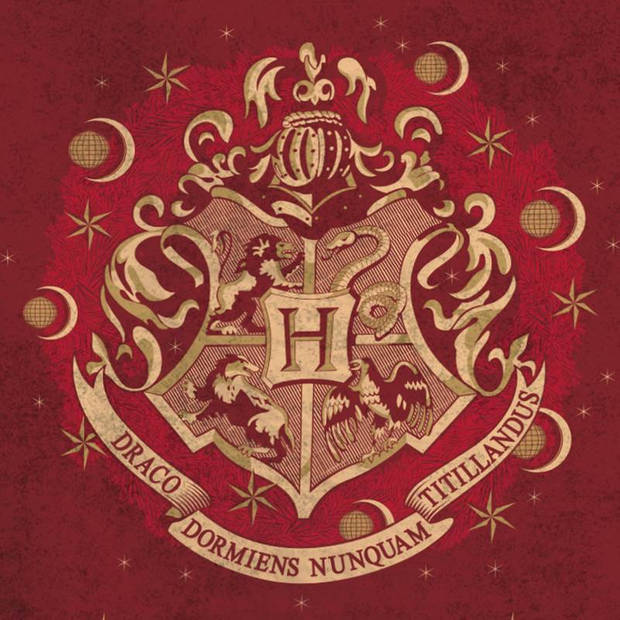 Harry Potter Strandlaken - 100% katoen - 70x140 cm - Red