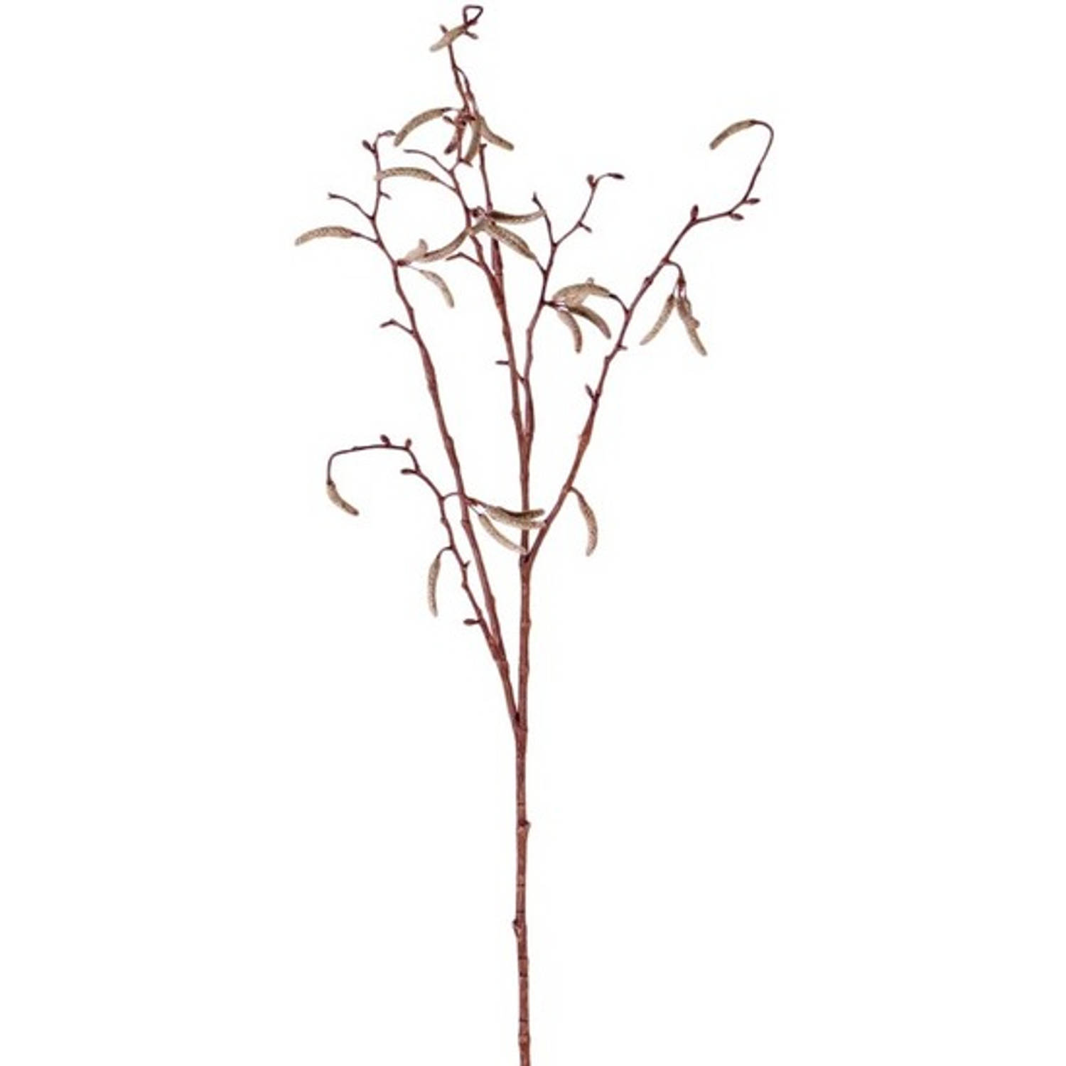 Bruine Betula Pendula-berkenkatjes Paastak Kunsttak 66 Cm Kunstbloemen-kunsttakken Kunstbloemen Boek